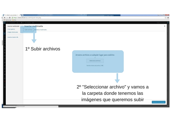 Guía Wordpress paso 6